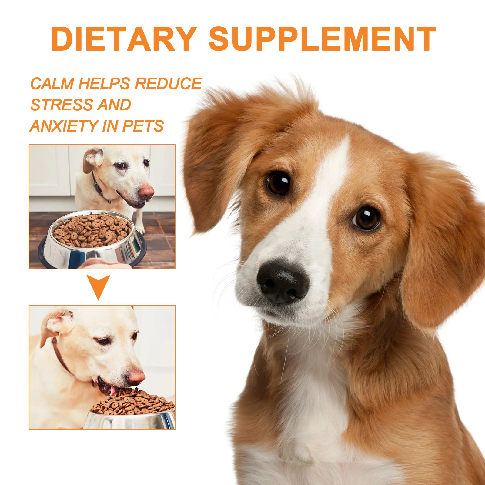 Hemp Seed Oil for Body Care, Pet Care Essence, Cat and Dog Food Supplement, Strengthening Oil