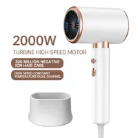 Sèche-cheveux professionnel 2000W 5ème vitesse, sèche-cheveux Lonic négatif, vent chaud et froid, brosse à Air, sèche-cheveux puissant, outil de Salon 1