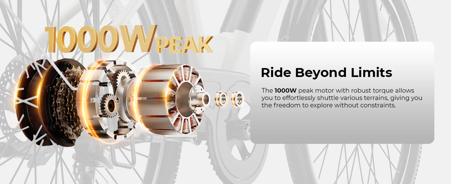 electric bike