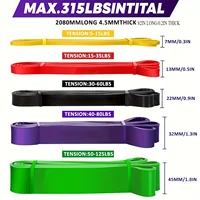 resistance Bands, Stackable TPE Resistance Bands for Strength Training, Fitness, Workout, Stretching, Home Gym and More - Image 2