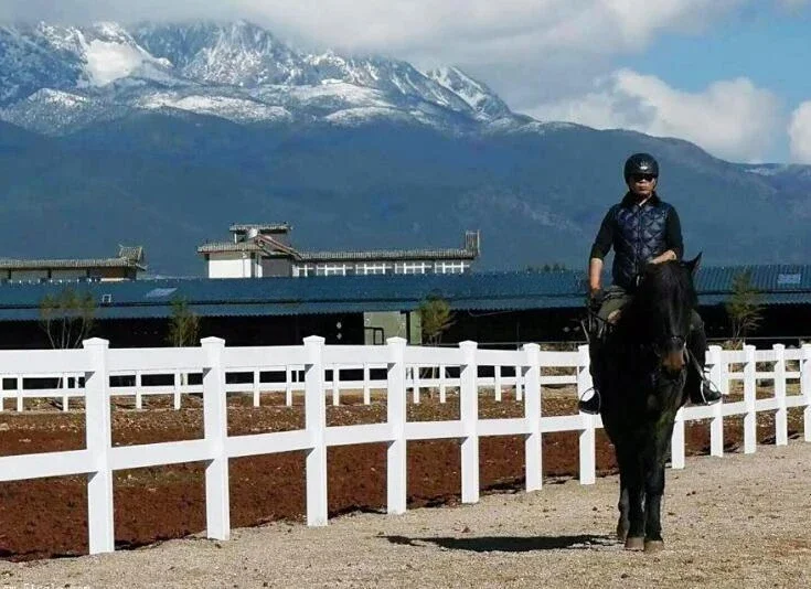 Fence PVC plastic vinyl coated ranch paddock horse fencing 6