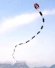 3D 55M Giant Software Snake Kite Inflatable Adult Kite Tearproof Nylon Kite Outdoor Easy To Fly Single Line Kite Storage Bag 6