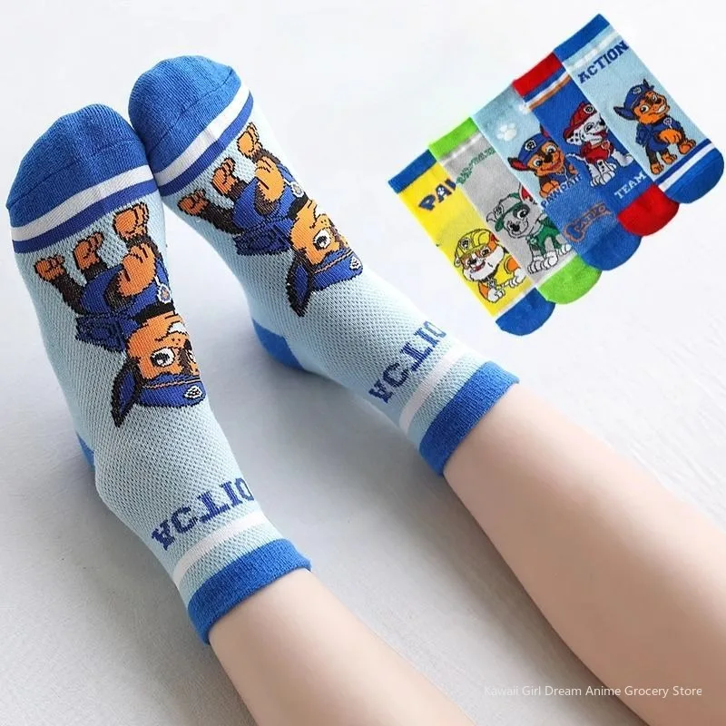 dsc-products