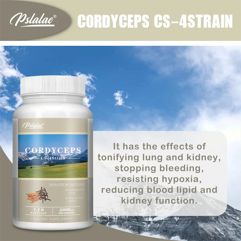 Cordyceps Energy Respiratory Immune Kidney Health Support