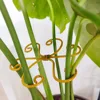 Iron Plant Stake Support Frame Flower Arrangement Tool for Lotus Wire and Plant Climbing Frame with Anti Fall Support Garden DIY 2