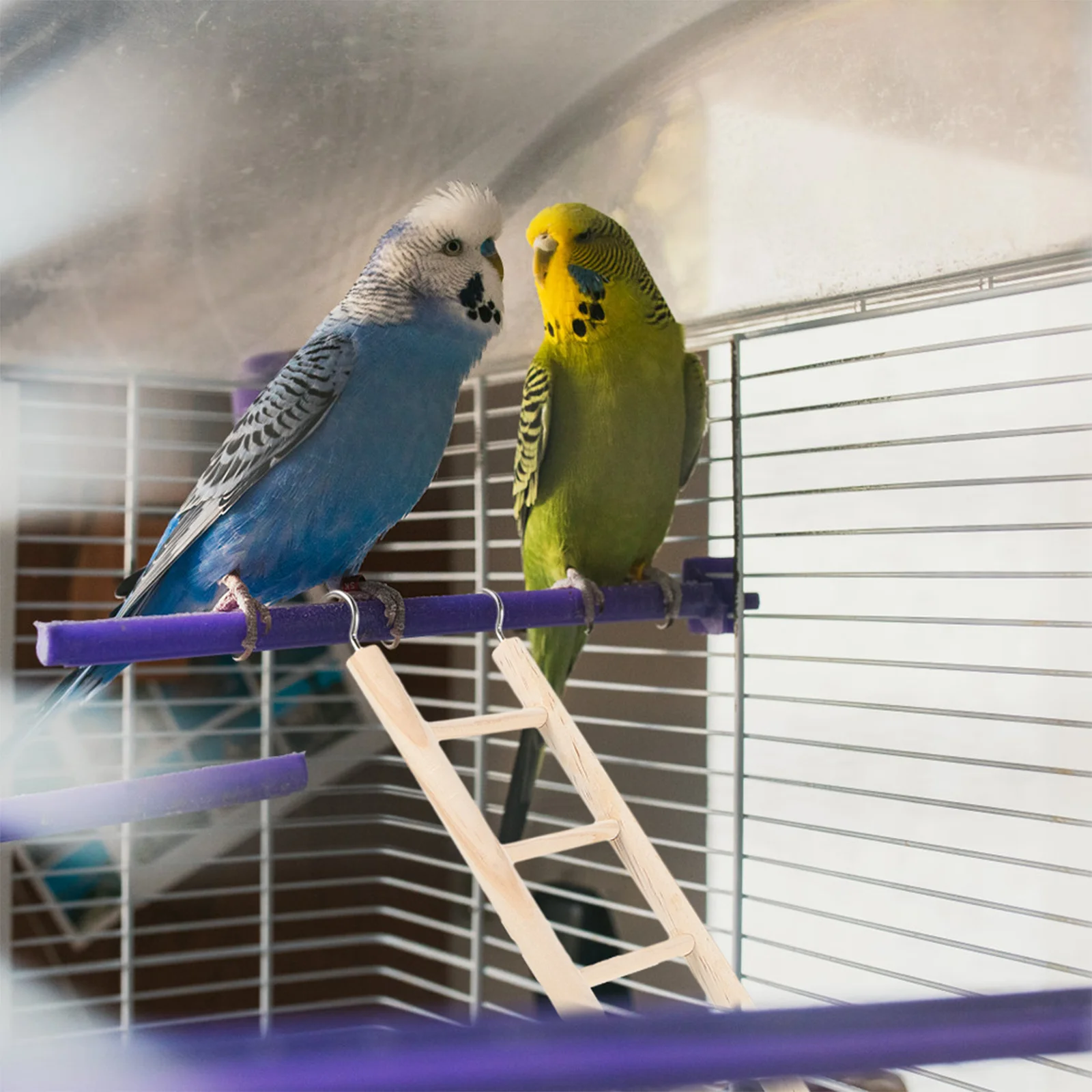

Parrot Cage Ladder Wood Bird Ladder Bird Biting Ladder Birds Grinding Toy Bird Climbing Ladder Birdcage Hanging Pet Supplies
