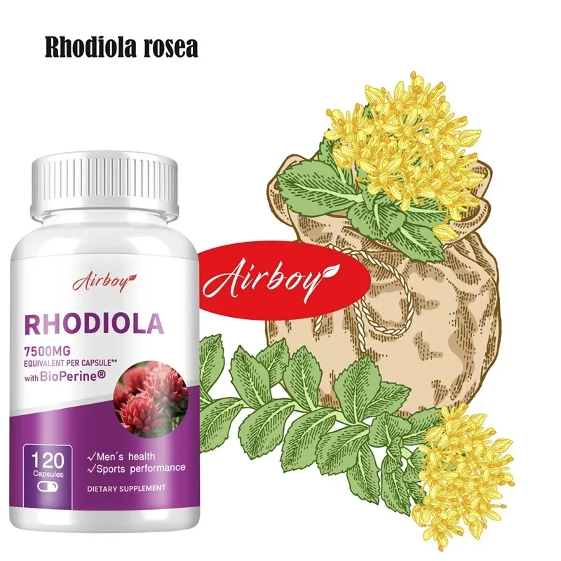 Rhodiola Supplement-Improves Energy and Focus, Relieves Stress, Improves Mood, Non-GMO