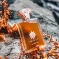 Amouage Dia Memoir 100ml hommes Eau De Parfum Woody parfum aromatique longue durée frais chaud riche élégant mâle arôme Echoing 5