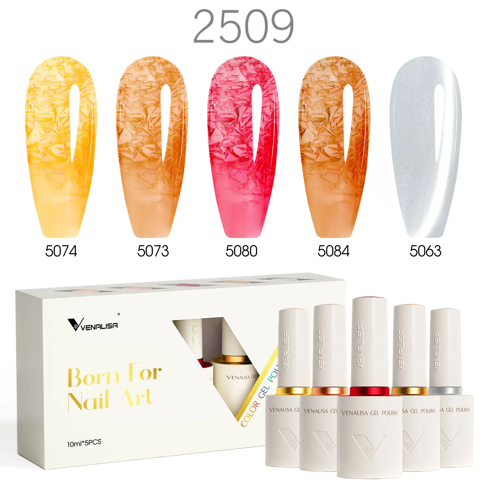 V2509