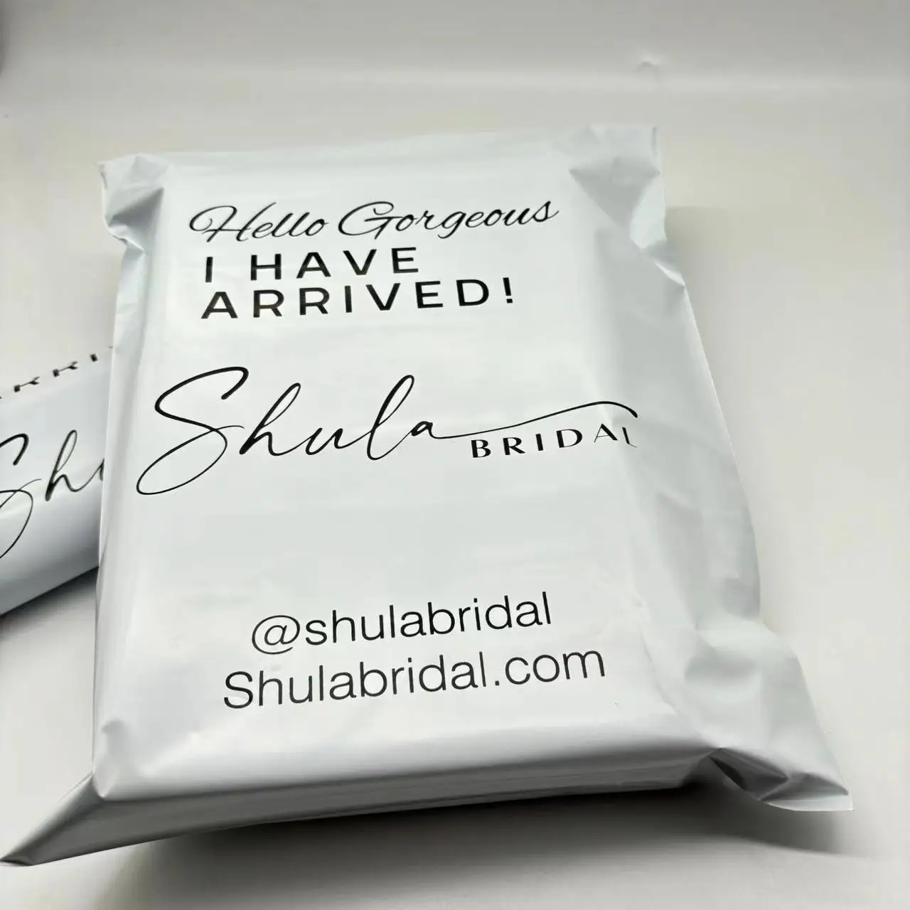 Рисунок 6 - Пользовательский логотип Печатный