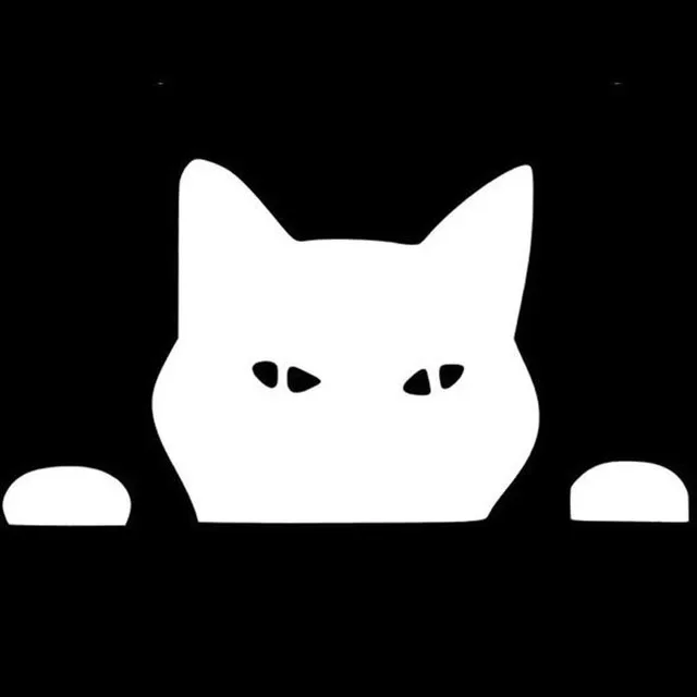 

Смешная кошка, смайлик, автомобиль, ситкер, склеивание, 20 см, белый