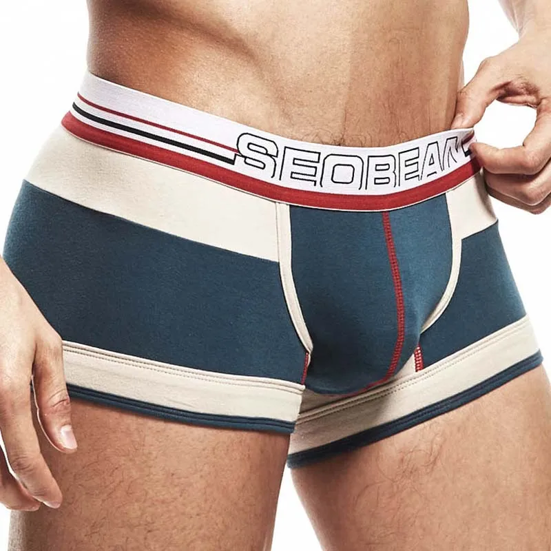 Brand Mens Boxers Underwear Sexy Bulge Penis Pouch Man Panties Breathable Low Waist Men Boxer Shorts Calzoncillos Para Hombre 4
