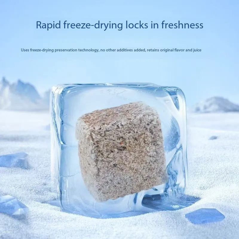 Natural Freeze Dried Bloodworms Cube Tubifexes Worms High Protein Fish Feed For Aquarium Tropical Fish Marine Fish Frog Tortoise 5