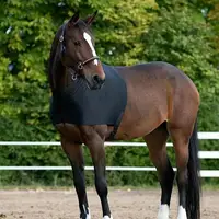 Horse Neck Cover Horse Shoulder Pads Breathable Horse Vests Shoulder Guard Horse Chest Saver Protector For Neck Wounds Heal 1