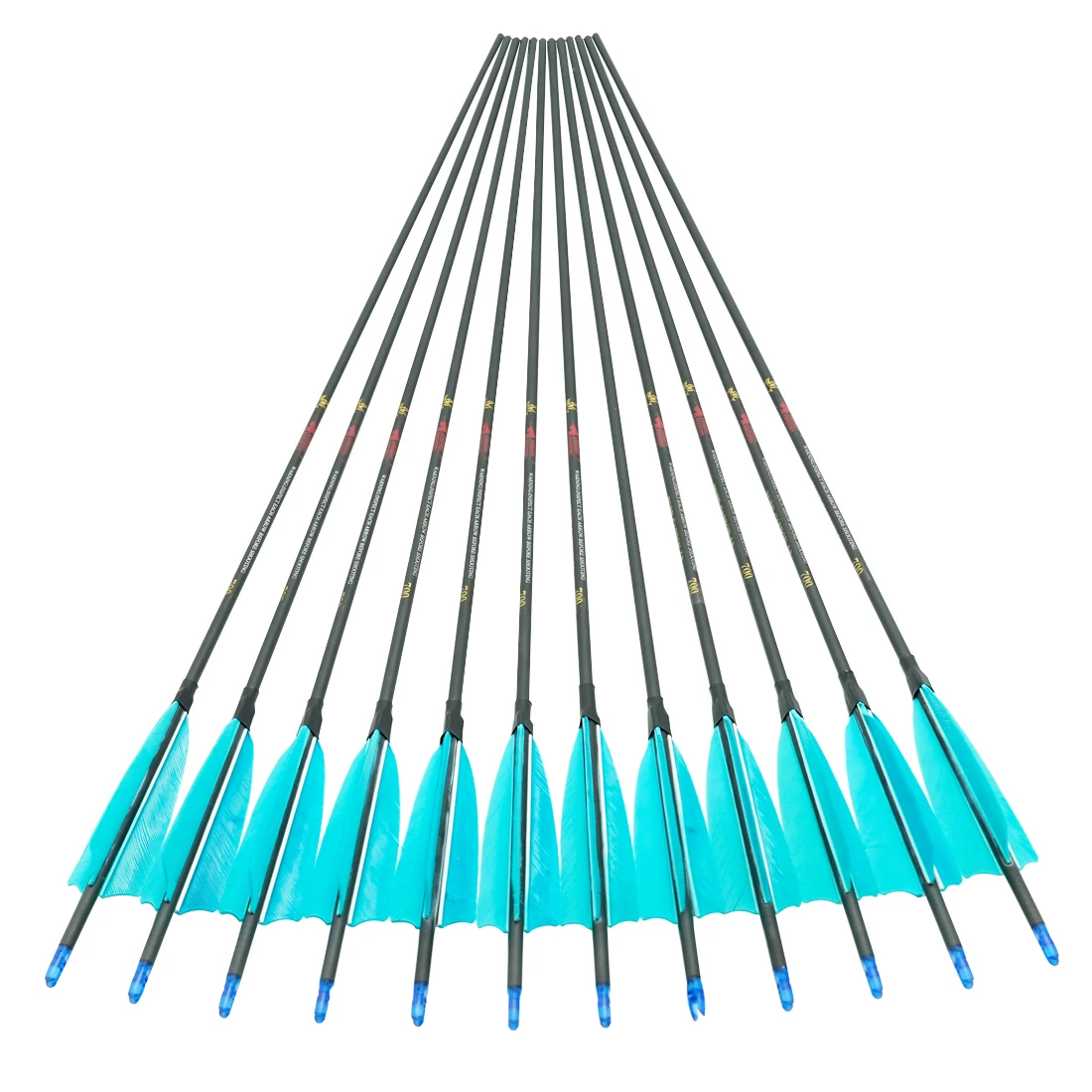 

12pcs ID4.2MM 100% Pure Carbon Arrows 4inch Turkey Feather 80gr Tips Recurve Bow Hunting Accessories