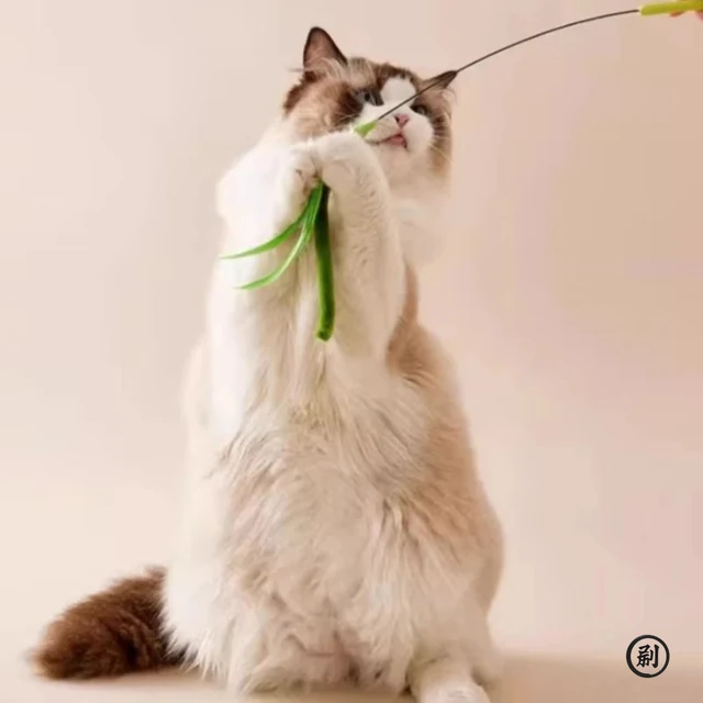 Cat Interactive Toy Tail Grass Cats Sage Feather Toy Long Pole Kitten Teasing Stick Bite Resistant Sound Toy Cat Supplies 6