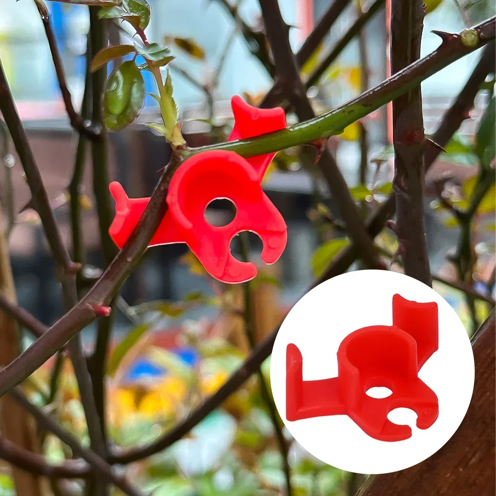 Fdit 100 Pièces Cintreuses De Plantes, Support De Formation De Clips De