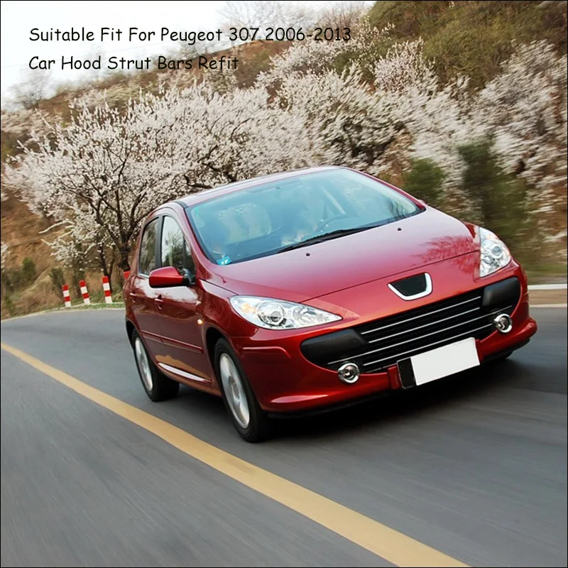 Ǫ 307 ڵ  ĵ,   Ʈ Ʈ,  Ÿϸ,  ε, 2006-2013 ׼