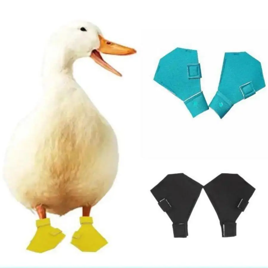 Pet Duck Cole Duck Foot Protection Shoes Pet Goose Bird Boots
