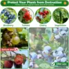 Plant Protection Bag Garden Netting Cover with Zipper Drawstring Garden Insect Netting Transparent Bird Plant Barrier Screen 5