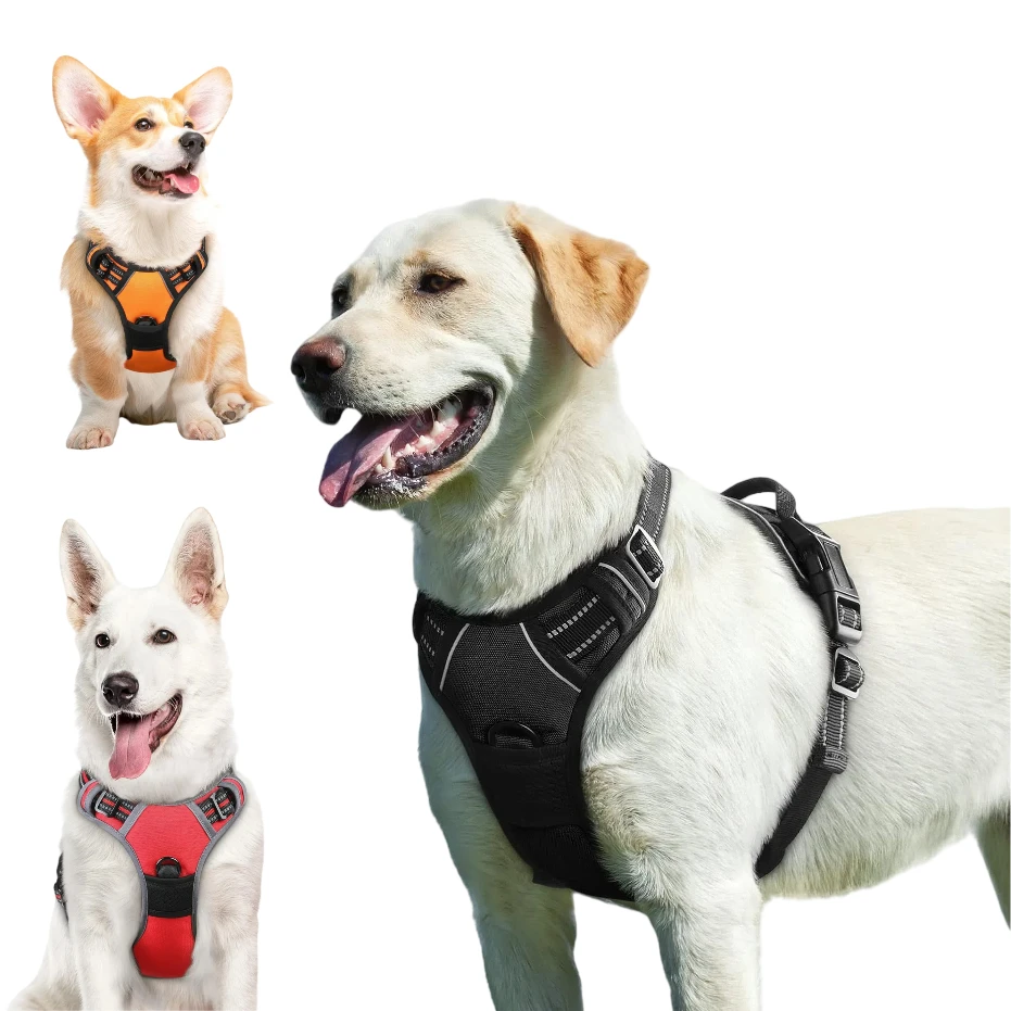 Harness for Large Dogs 1