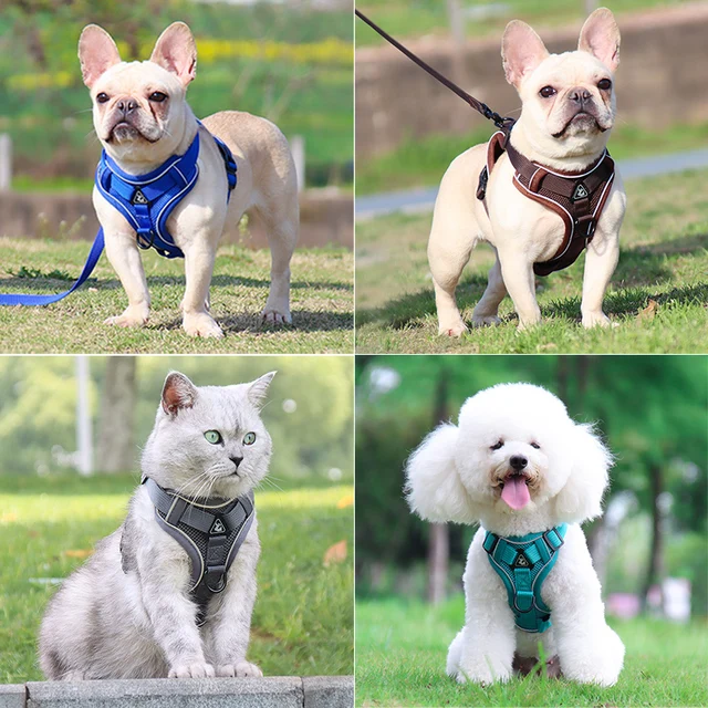Adjustable Reflective Dog Harness Set 4