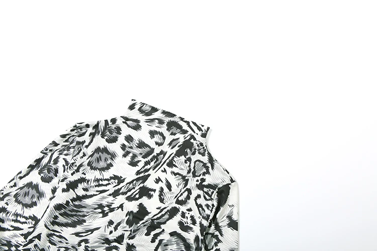 Kliou Leopard Print Jumpsuit Image 6