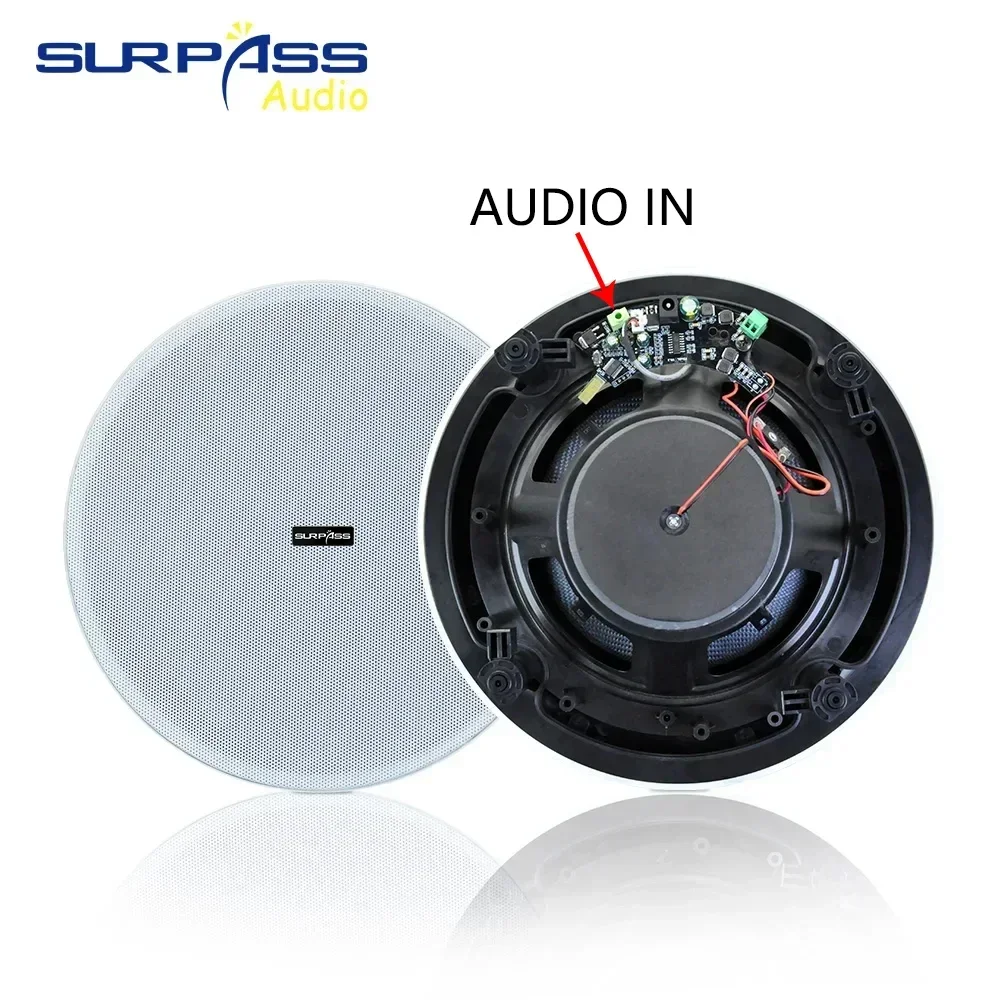 50 واط 8 ''سقف سمّاعات بلوتوث المدمج في الفئة D مك...