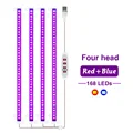 Blue Red Light 4
