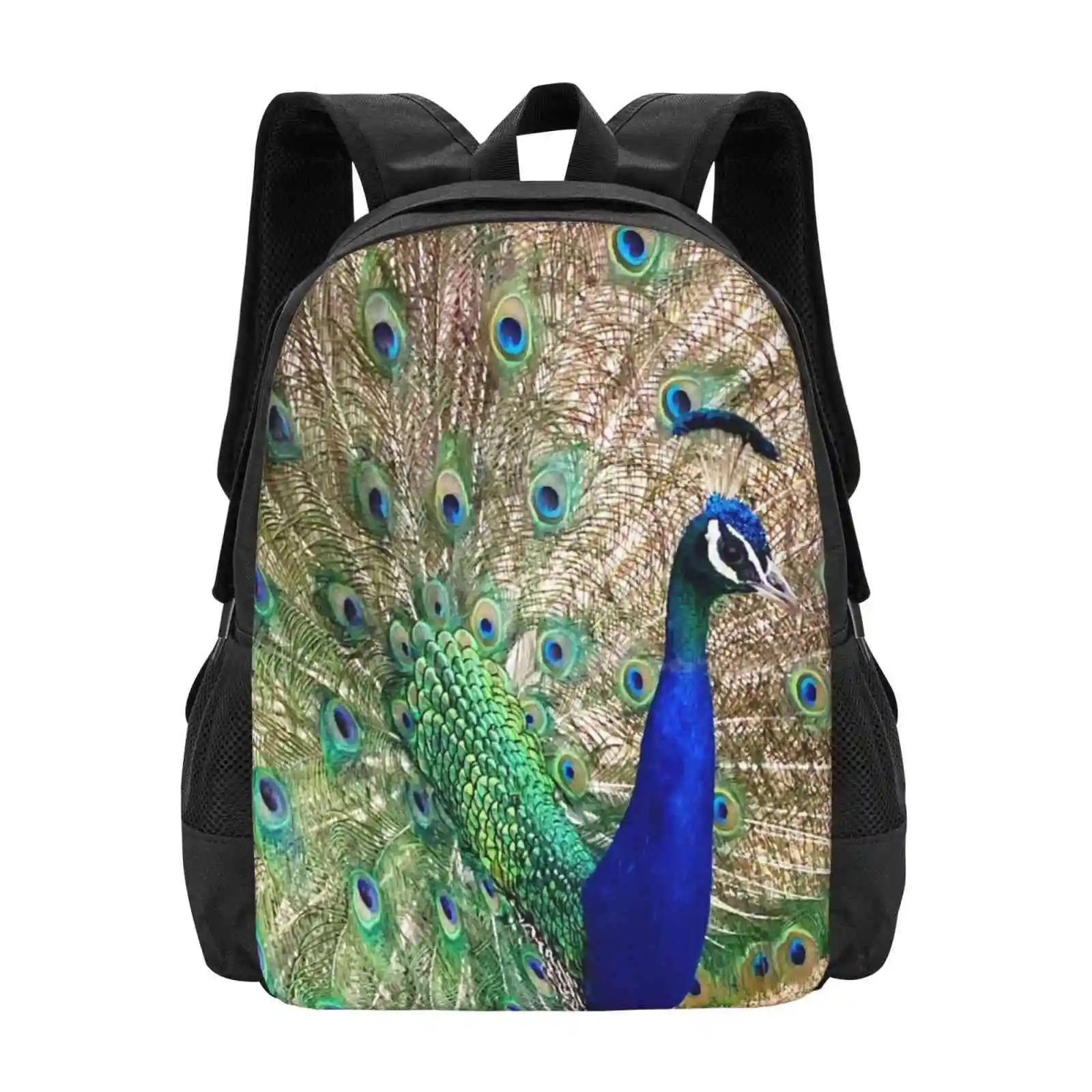 

Dwayne The Peacock Pattern Design Bagpack School Bags Peacock Nature Fun Colorful