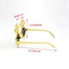 M89E Funny Sunglasses Props Dollar Signs  Funny Birthday Photobooth Props 6