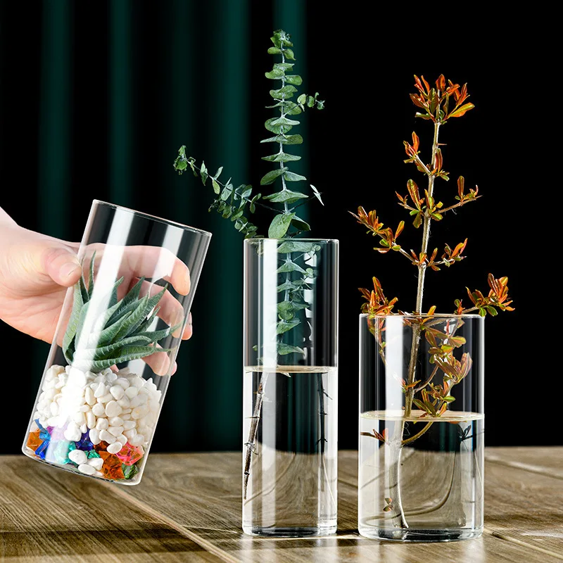Hydroponic Glass Flower Vase Transparent Minimalist Floral Vase for Wedding Living Room Office Decoration Moss Ecological Bottle 3