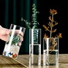 Hydroponic Glass Flower Vase Transparent Minimalist Floral Vase for Wedding Living Room Office Decoration Moss Ecological Bottle 3