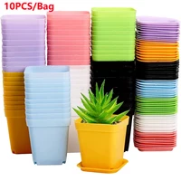 10PCS Gardening Mini Small Square Pot Flower Pot Succulent Pot Little Black Square Plastic Pot Seedling Tray Containe 1