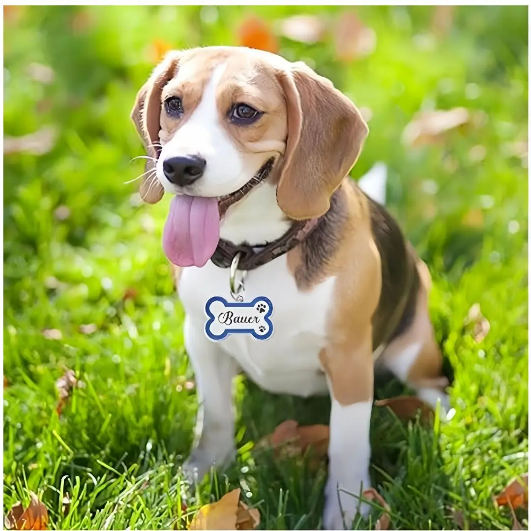 Pet ID Tags Dog ID Tag Personalized Gorgeous Small Medium Footprint Custom Name Tag Plate Collar Accessories