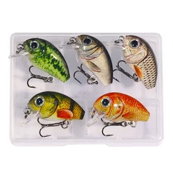 Premium Set of 5 Miniature Bass Fishing Lures for Versatile Light Tackle Angling (B 3cm 2g with box)