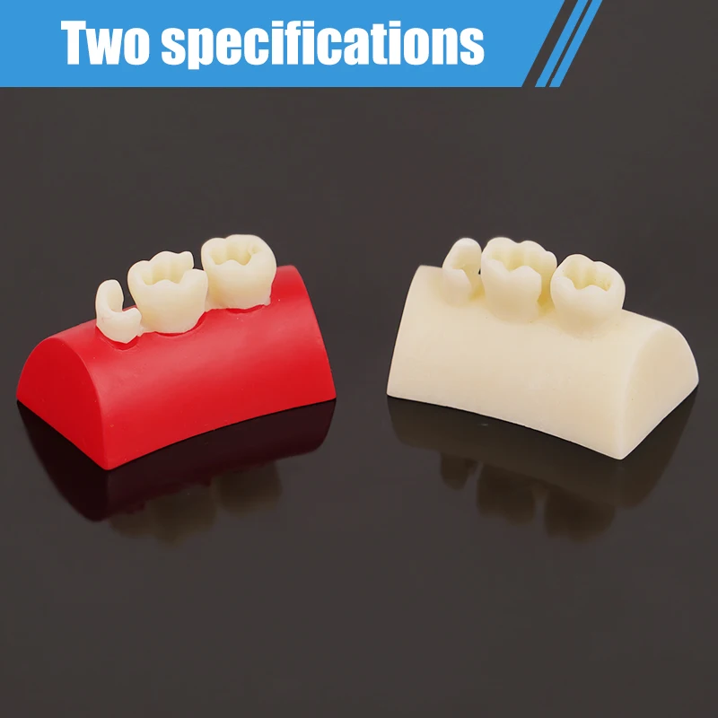 1PC 치과용 인레이 연습 모델 블록 복합 레진 충전 연습 모델 구강 충전 티포돈트 모델 학생 교육용