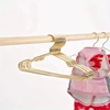 5pcs Pet Apparel Hangers Small Metal Clothes Hanger for Dog Cat Puppet Doll Pet Store Clothes Support Gold Color Mini Hanger 5