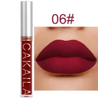 Dark Red Matte Lip Gloss 18 Color Velvet Lip Glaze LongLasting Waterproof Liquid Lipstick Natural Makeup Sexy for Women Lip Tint 3