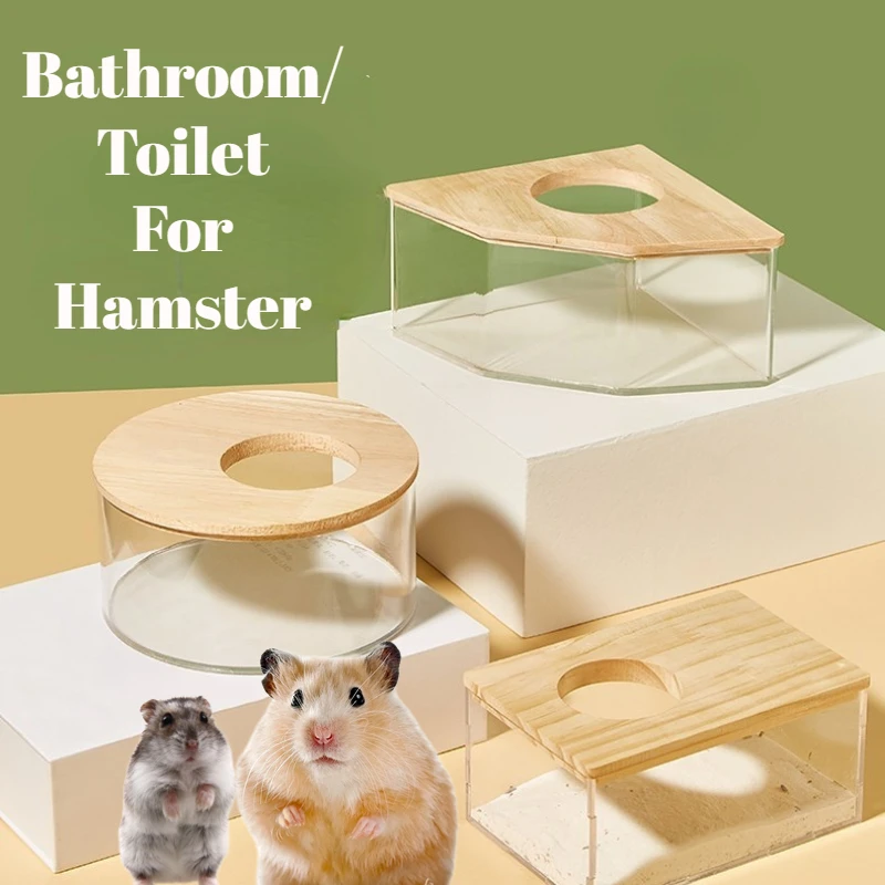 Big Hamster Bathroom Transparent Acrylic Material with Solid Wood Cover