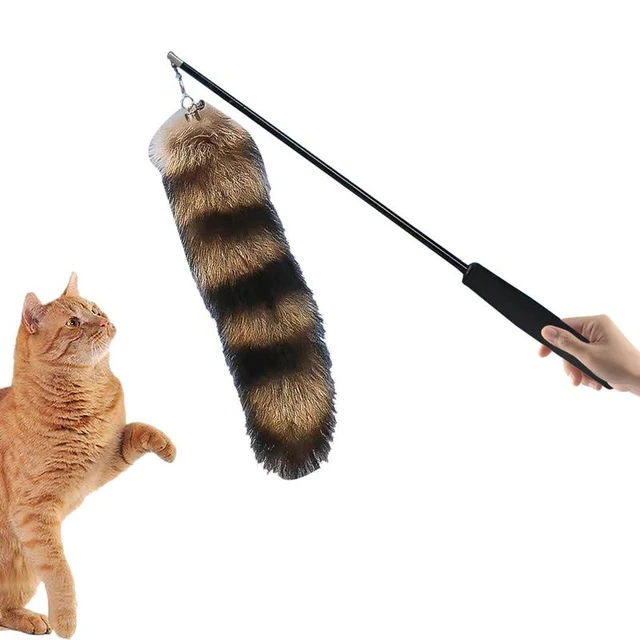 Cat Wand Toy Interactive Cat Toy Retractable Cat Wand Toy Cat