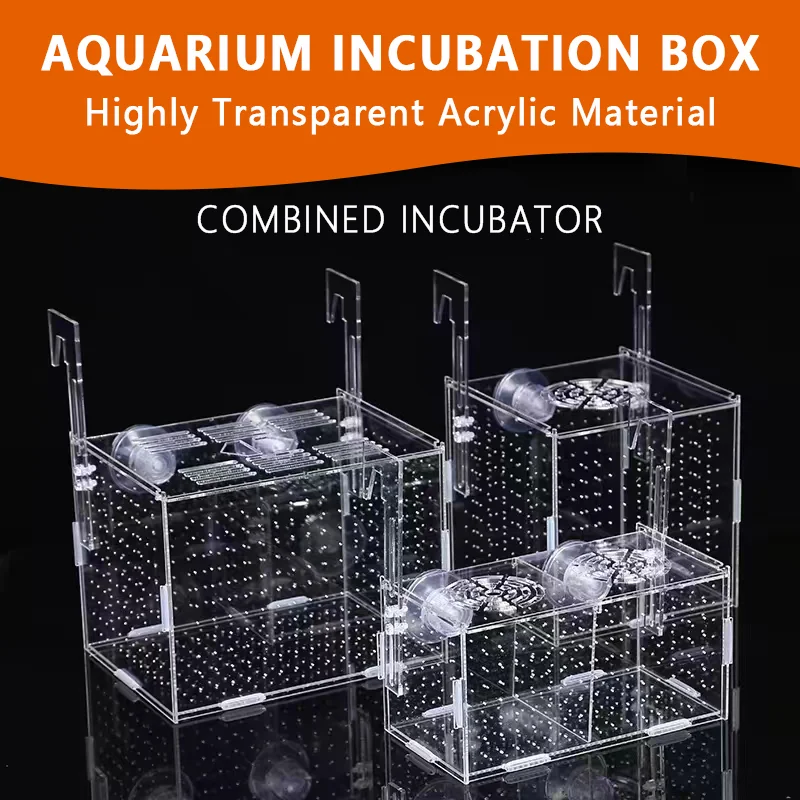 Ornamental Fish Breeding Isolation Box for fish breeding box