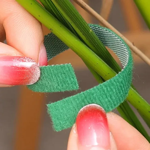 40/2M Nylon Plant Ties Plant Bandage Adjustable Plant Support Loop Reusable Fastener Organizer Straps for Home Garden Supplies 2