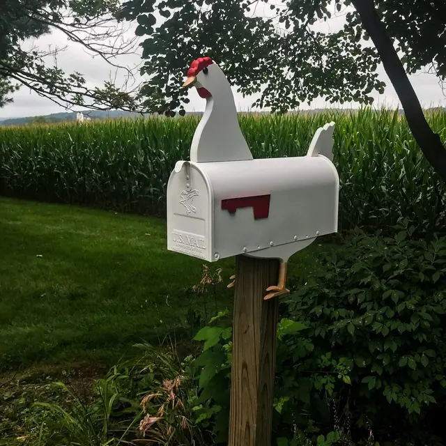 Hen