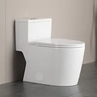 12"in One Piece Elongated Modern Toilet 3.1-Inch Huge Trapway Pipe Glazing Top Dual Flush 1.1/1.6 GPF 1