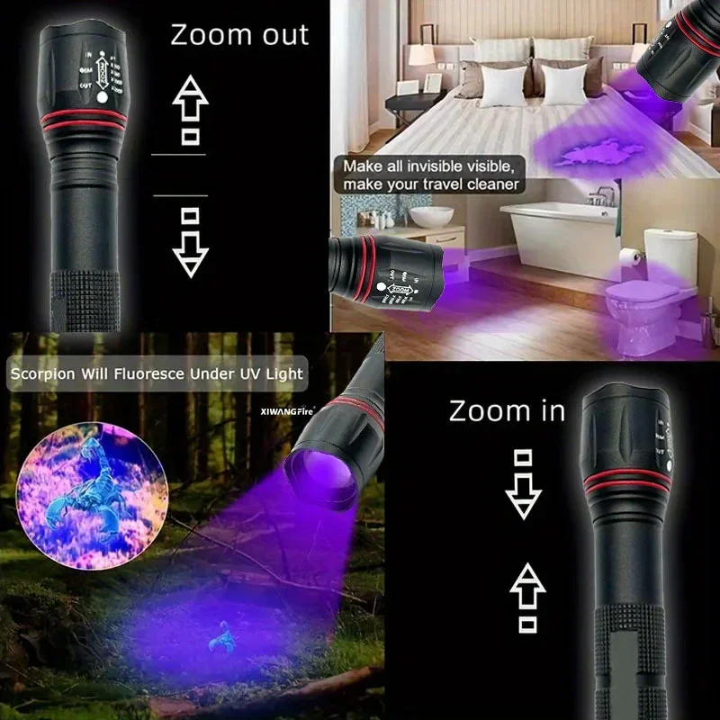 Product View 5
