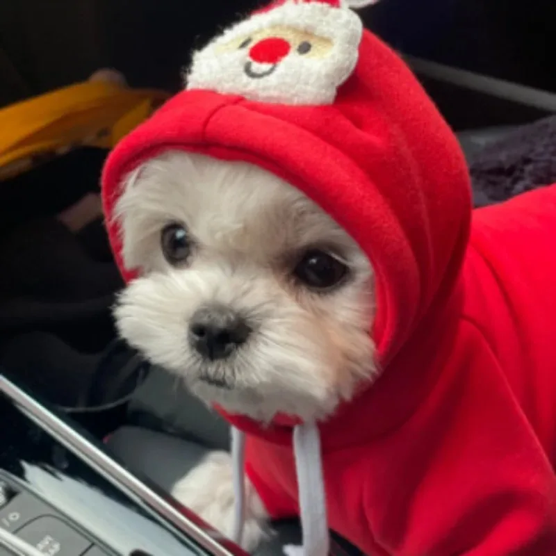 소형 중형견용 애완동물 의류 크리스마스 강아지 옷 강아지 고양이 후드티 치와와 의상 크리스마스 애완동물 옷 코트 새해