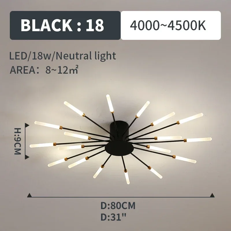 black 18 lights