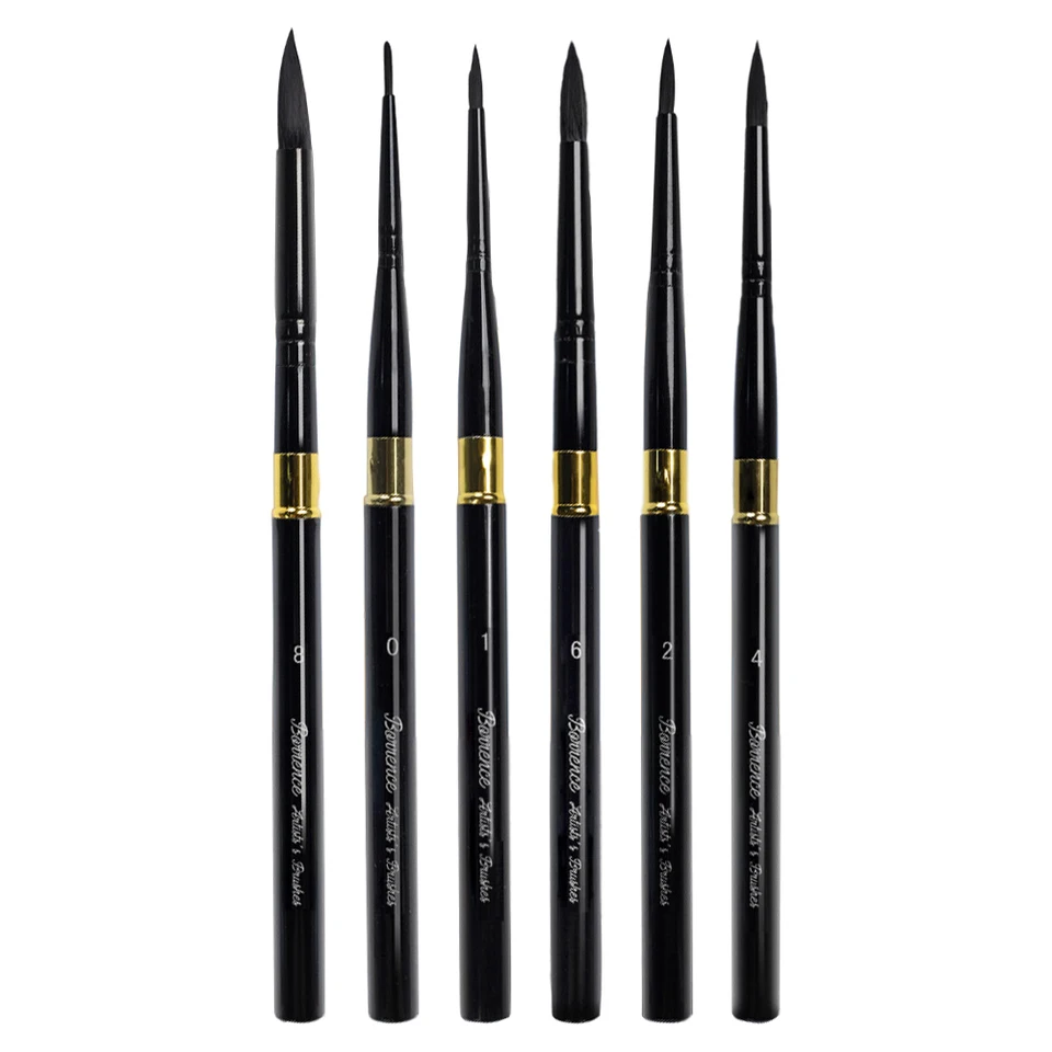 6 Piece Watercolor Paint Brush Set for Artists