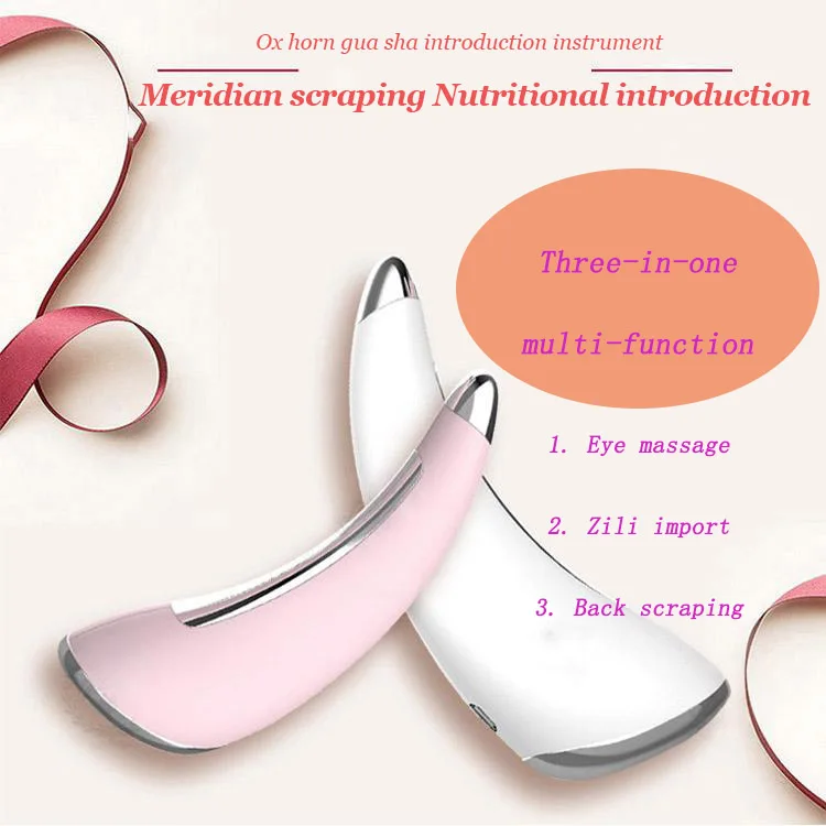 Electric Massage Facial Iontophoresis Instrument Multi-functional Household Facial Scraping To Improve Skin Beauty Tool